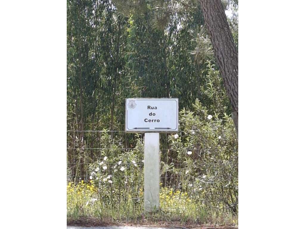 Quintinha nas Fazendas da Arriça - Branca - Grande imagem: 3/25