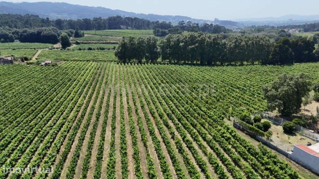 Terreno para Construção / Lousada, Caíde de Rei - Grande imagem: 5/6