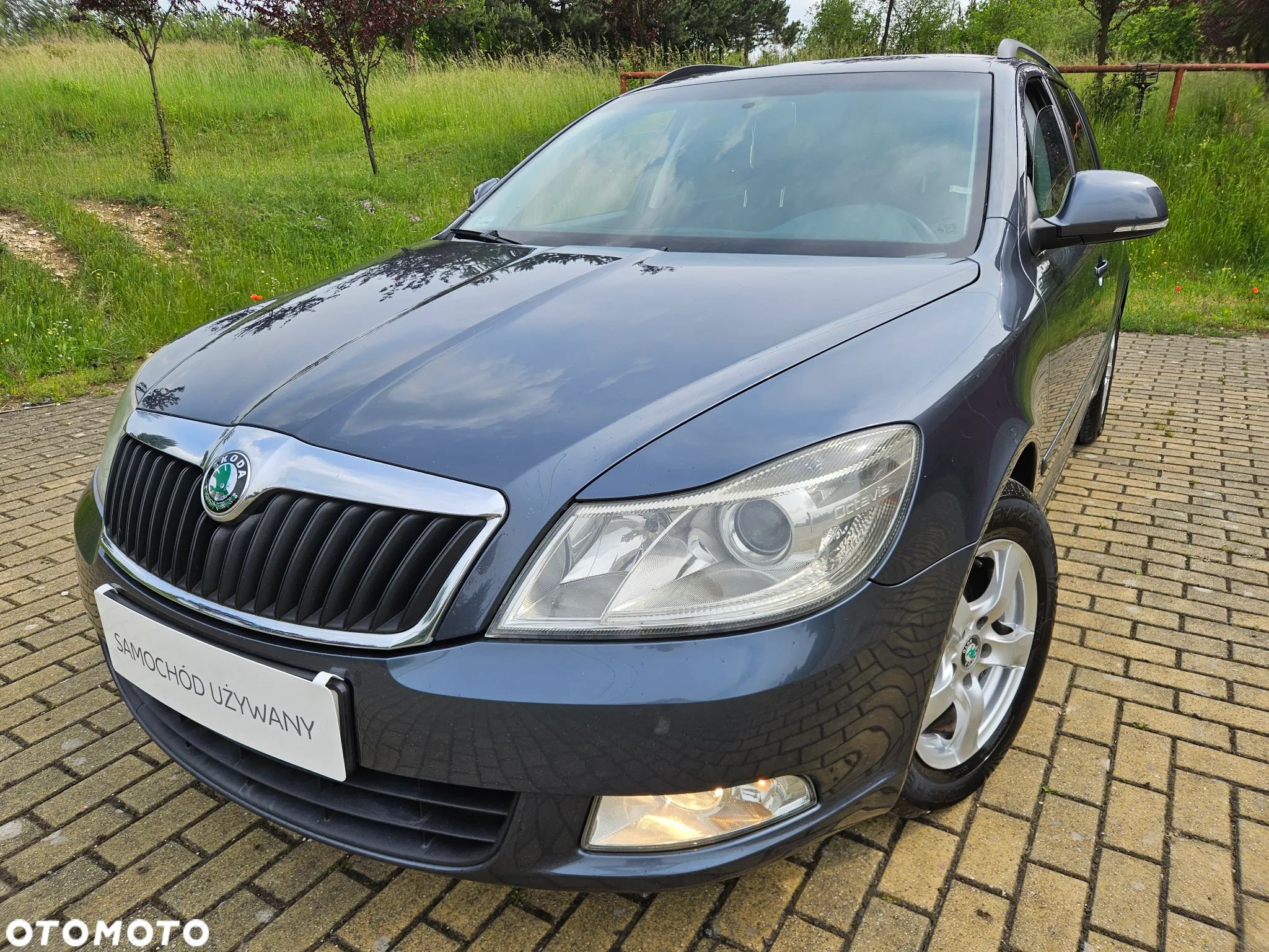 Skoda Octavia 1.9 TDI Classic - 1