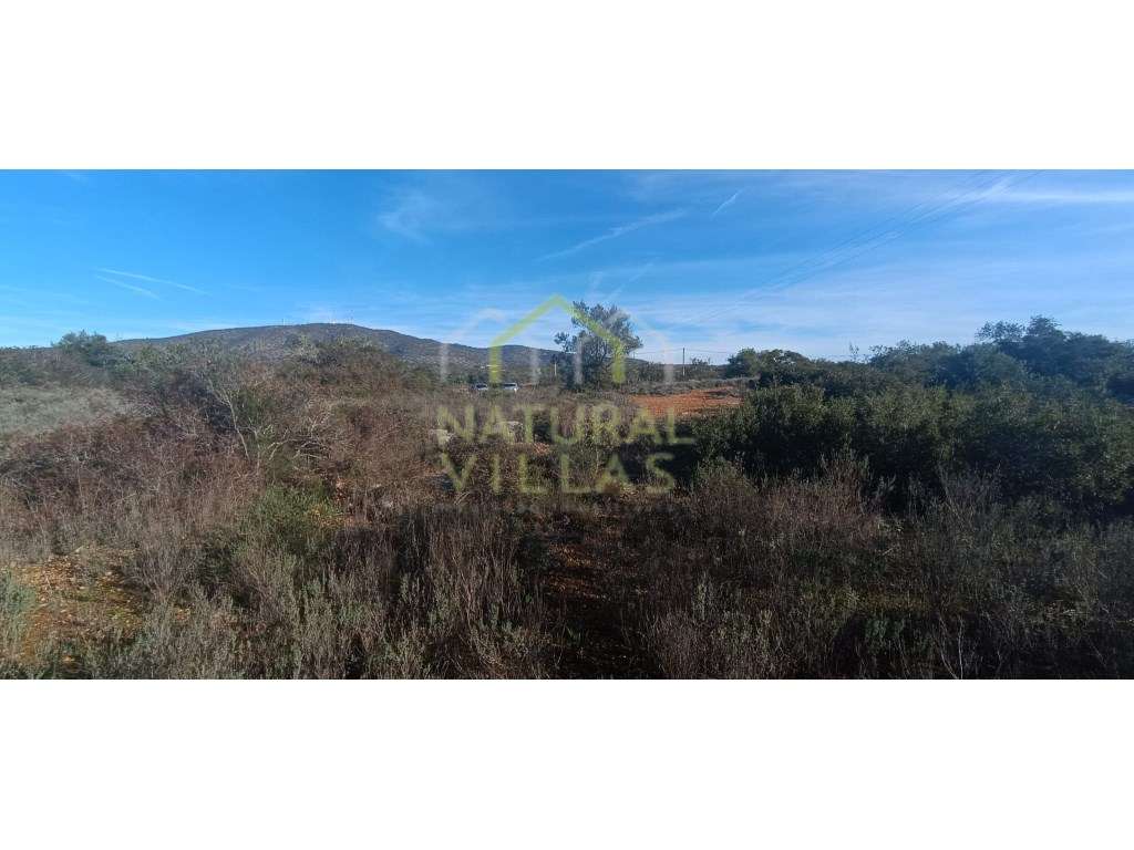Terreno plano junto a estrada alcatroada em Quelfes, Olhão - Grande imagem: 3/5