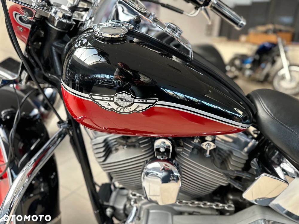Harley-Davidson Softail - 15