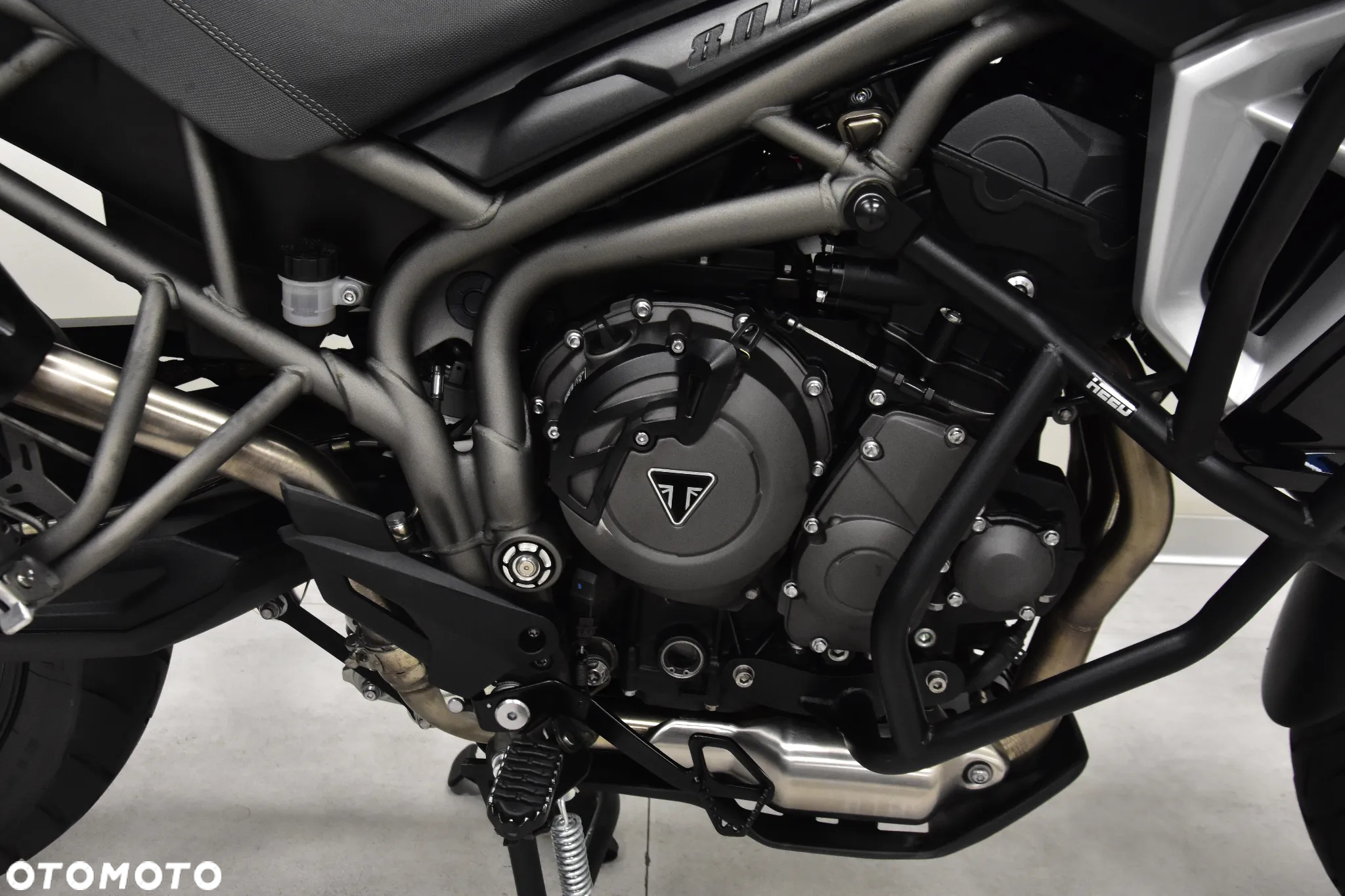 Triumph Tiger - 28