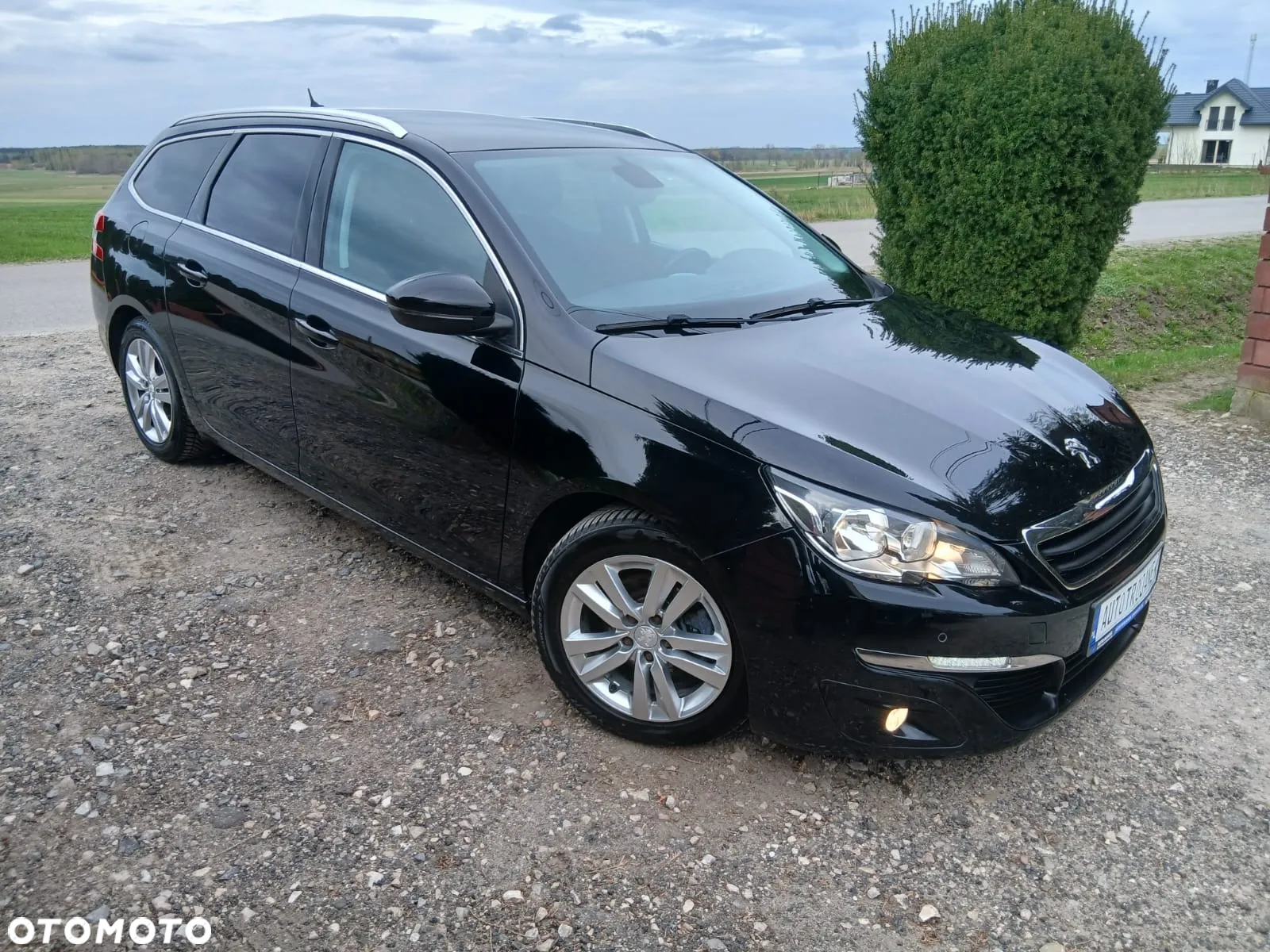 Peugeot 308 1.6 BlueHDi Business Line S&S - 7