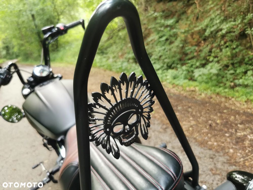 Indian Scout - 23