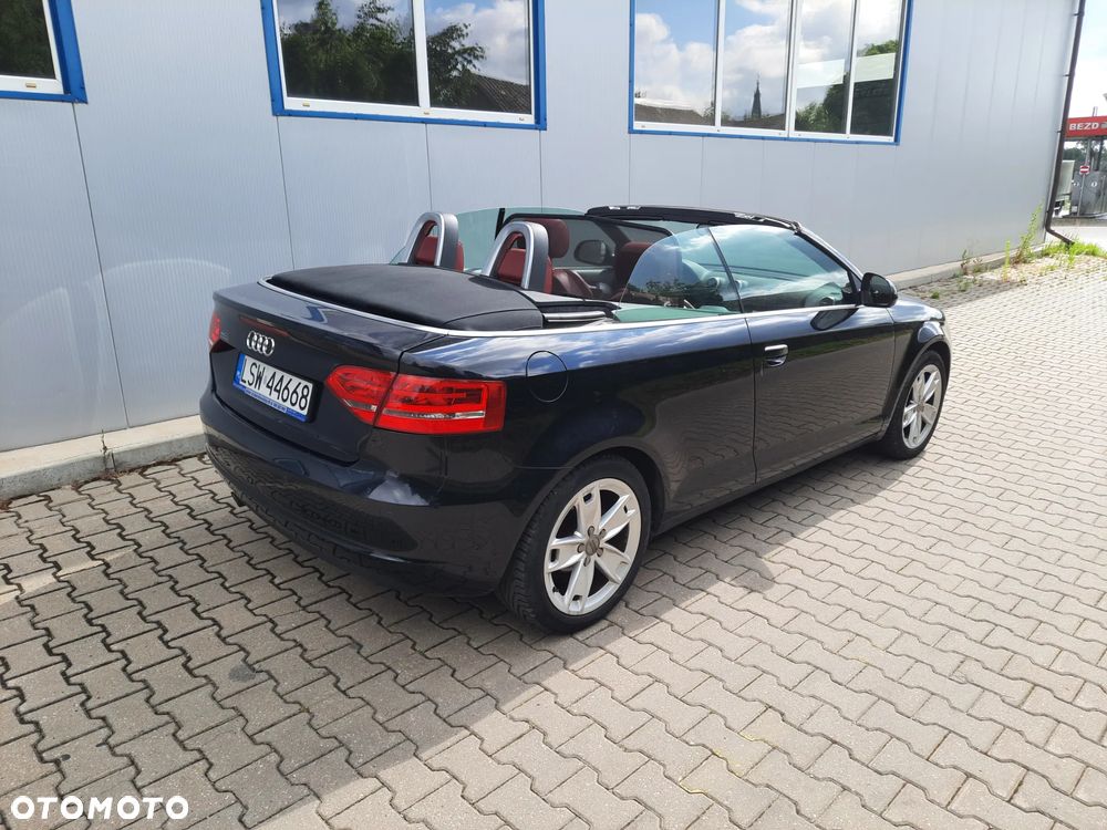 Audi A3 Cabrio 1.6 TDI DPF Ambition - 8