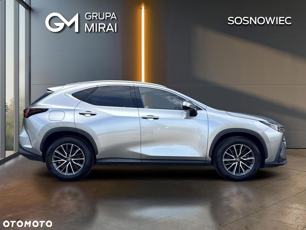 Lexus NX - 6