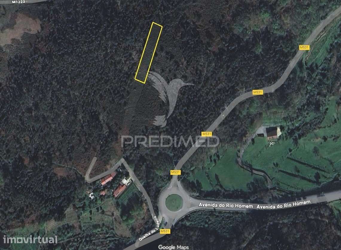Bouça em Valbom (São Martinho), Vila Verde - Grande imagem: 2/5