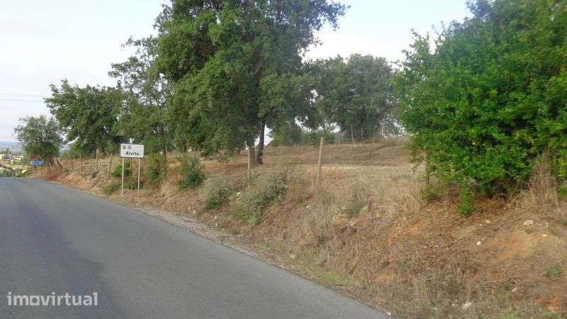 Moradia independente inserida num terreno com 15.000 m2 - Grande imagem: 4/9