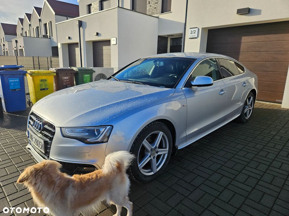 Audi A5 Sportback 2.0 TDI (clean diesel) quat DPF S tro - 15