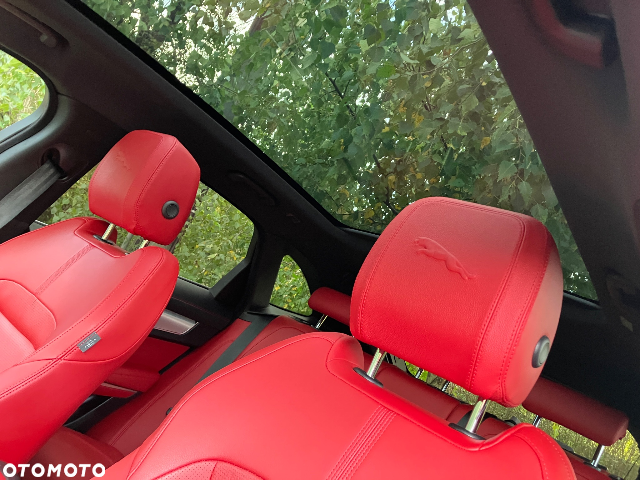 Jaguar F-Pace D200 AWD R-Dynamic SE 90th Anniversary Edition - 9