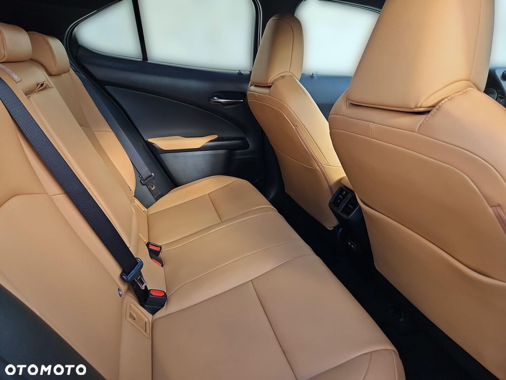 Lexus UX 250h GPF F Sport Design 2WD - 24