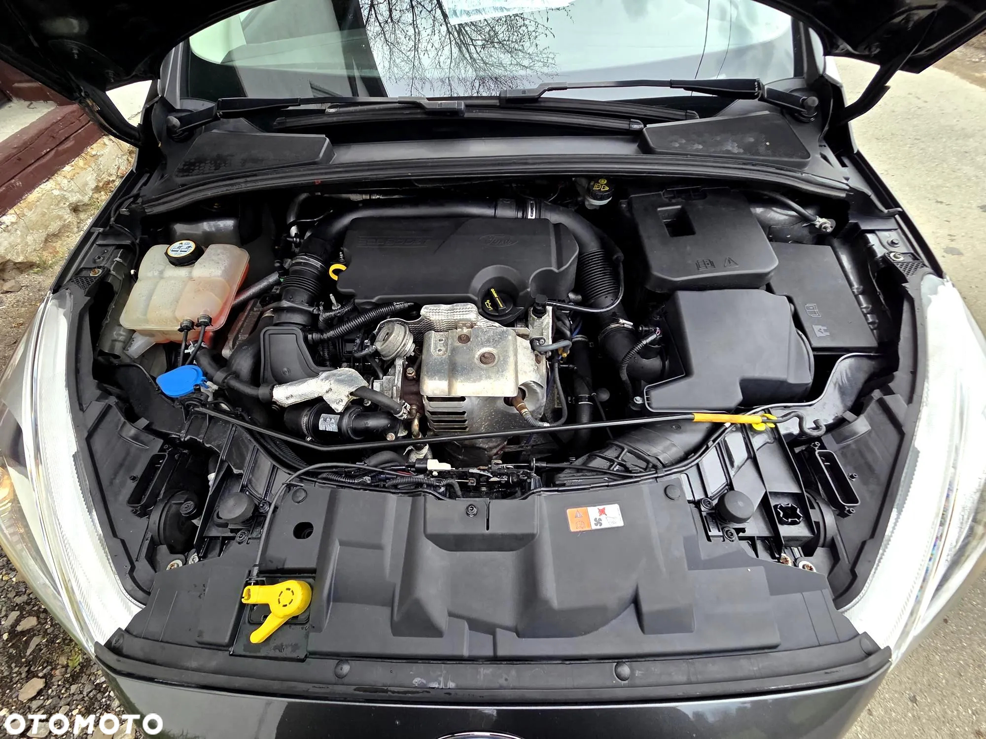 Ford Focus 1.0 EcoBoost Gold X ASS - 34