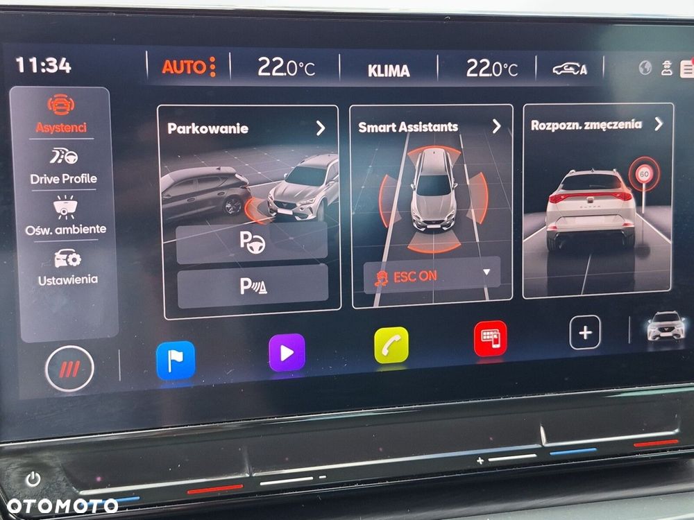 Cupra Formentor 1.5 eTSI mHEV DSG - 24