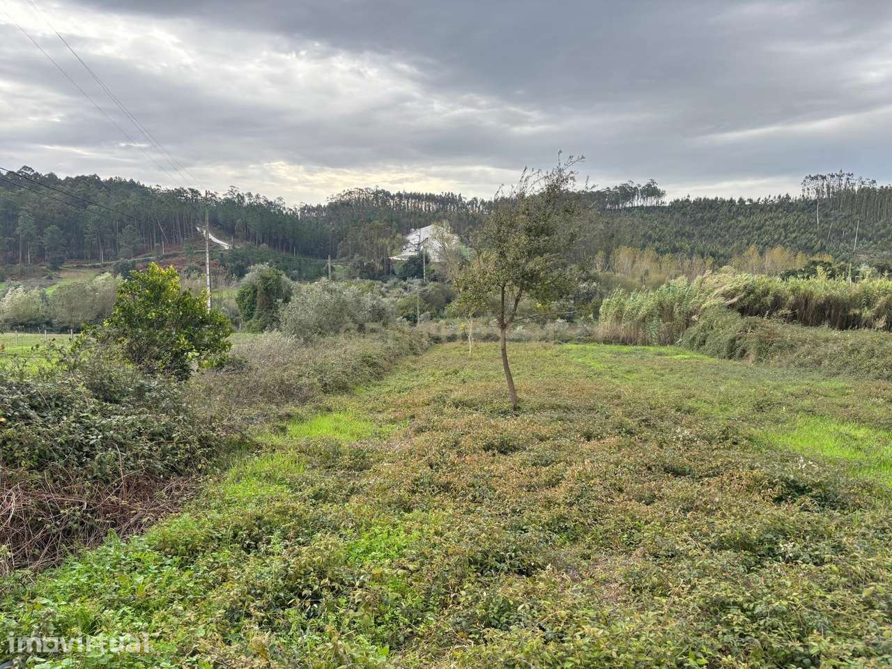 Terreno em localização privilegiada, com ótima exposição solar, na fre - Grande imagem: 5/8