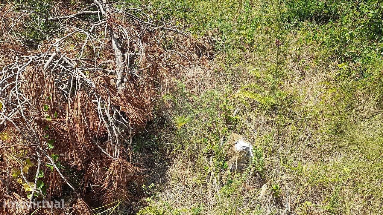 Terreno  para venda - Grande imagem: 5/21