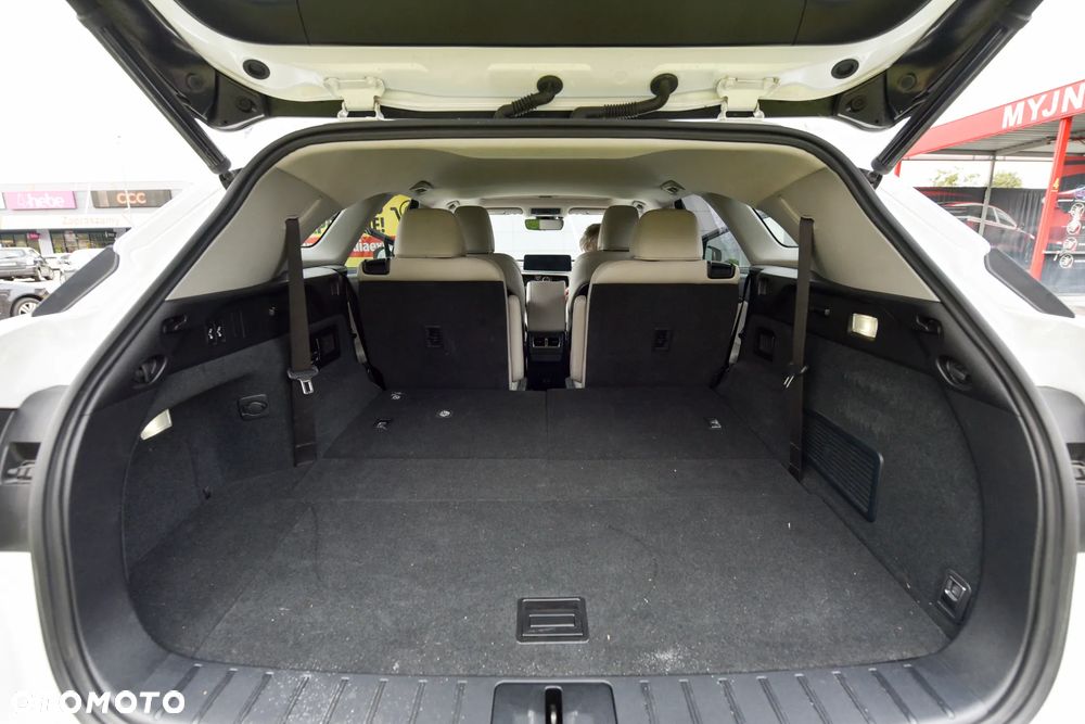 Lexus RX - 18