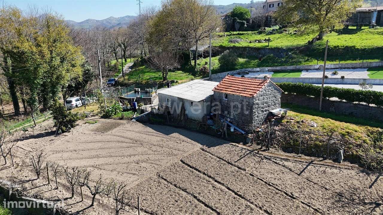 Terreno / Baião, Campelo e Ovil - Grande imagem: 4/20