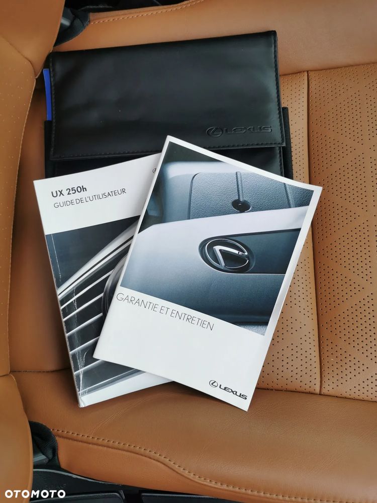 Lexus UX 250h - 20