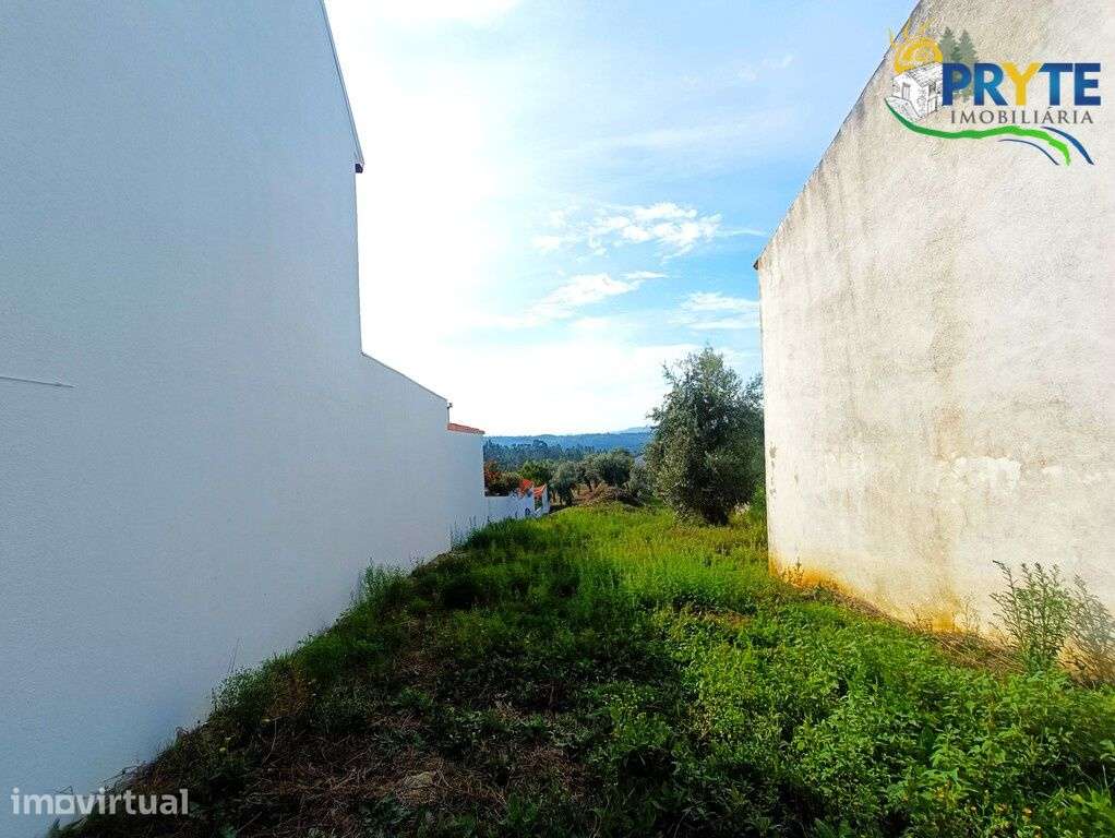Terreno para construção plano com oliveiras situada a 2 km da Sertã - Grande imagem: 4/10