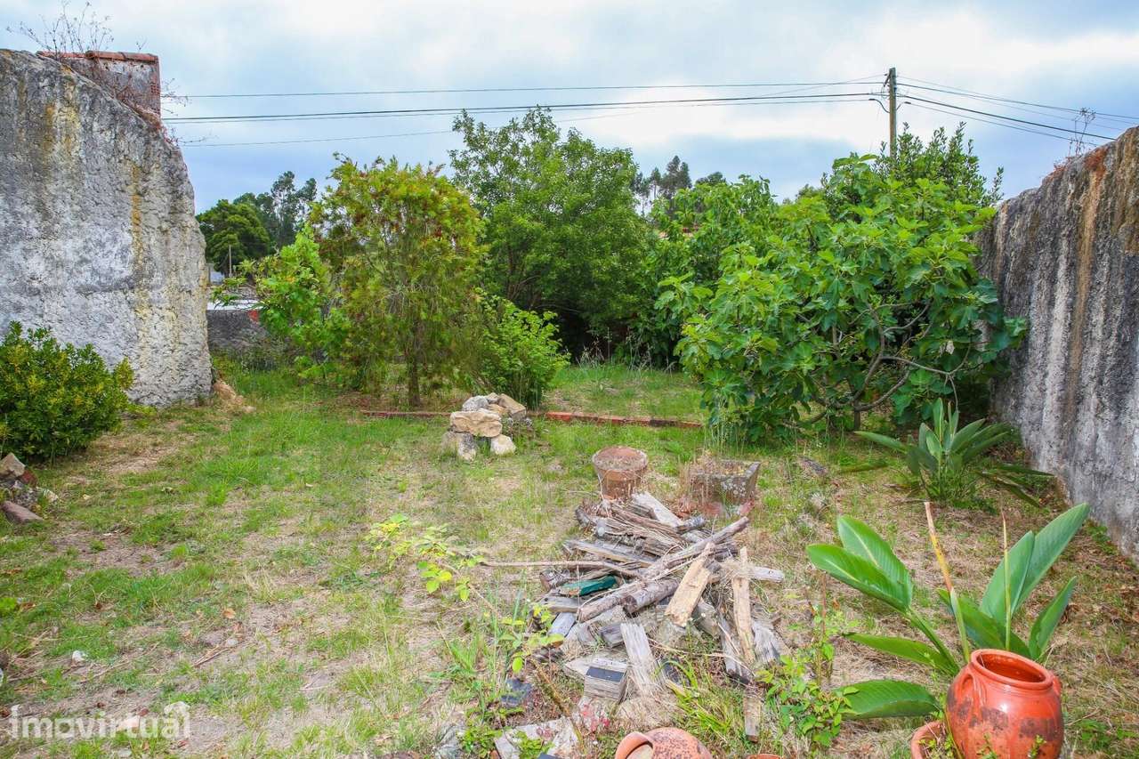 Terreno  com ruinas e árvores de fruto - Grande imagem: 4/9