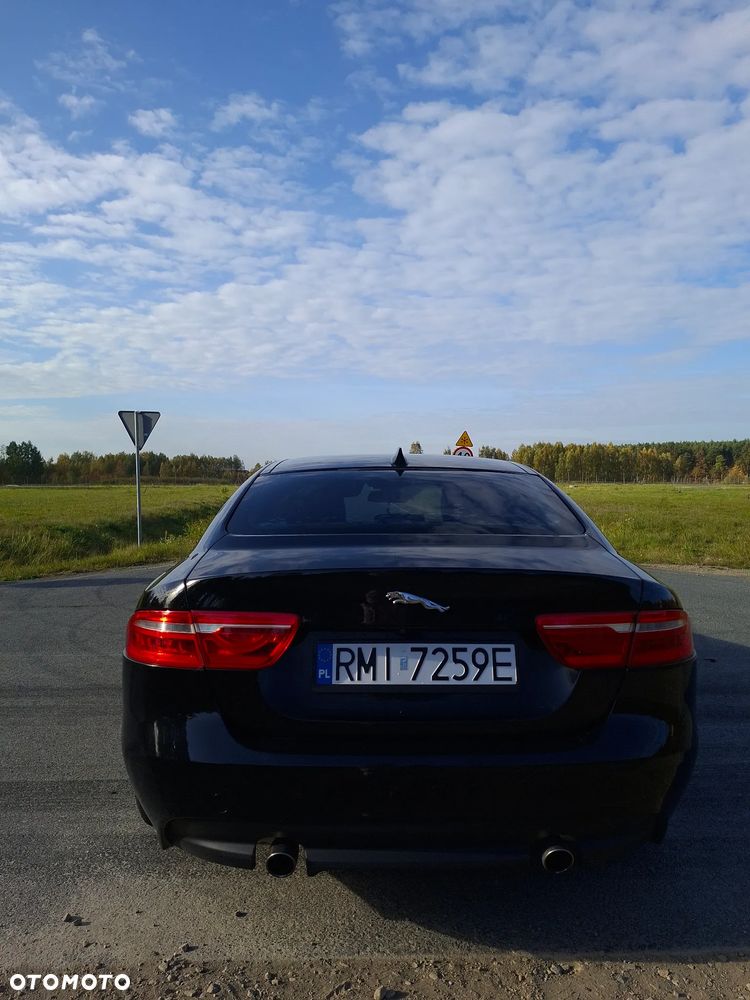 Jaguar Xe 2017 photo 5