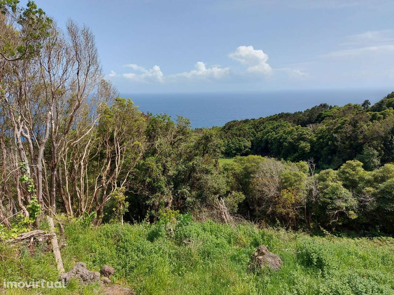 Fantástico Terreno com Projeto Aprovado - Pico - Azores - Grande imagem: 5/18