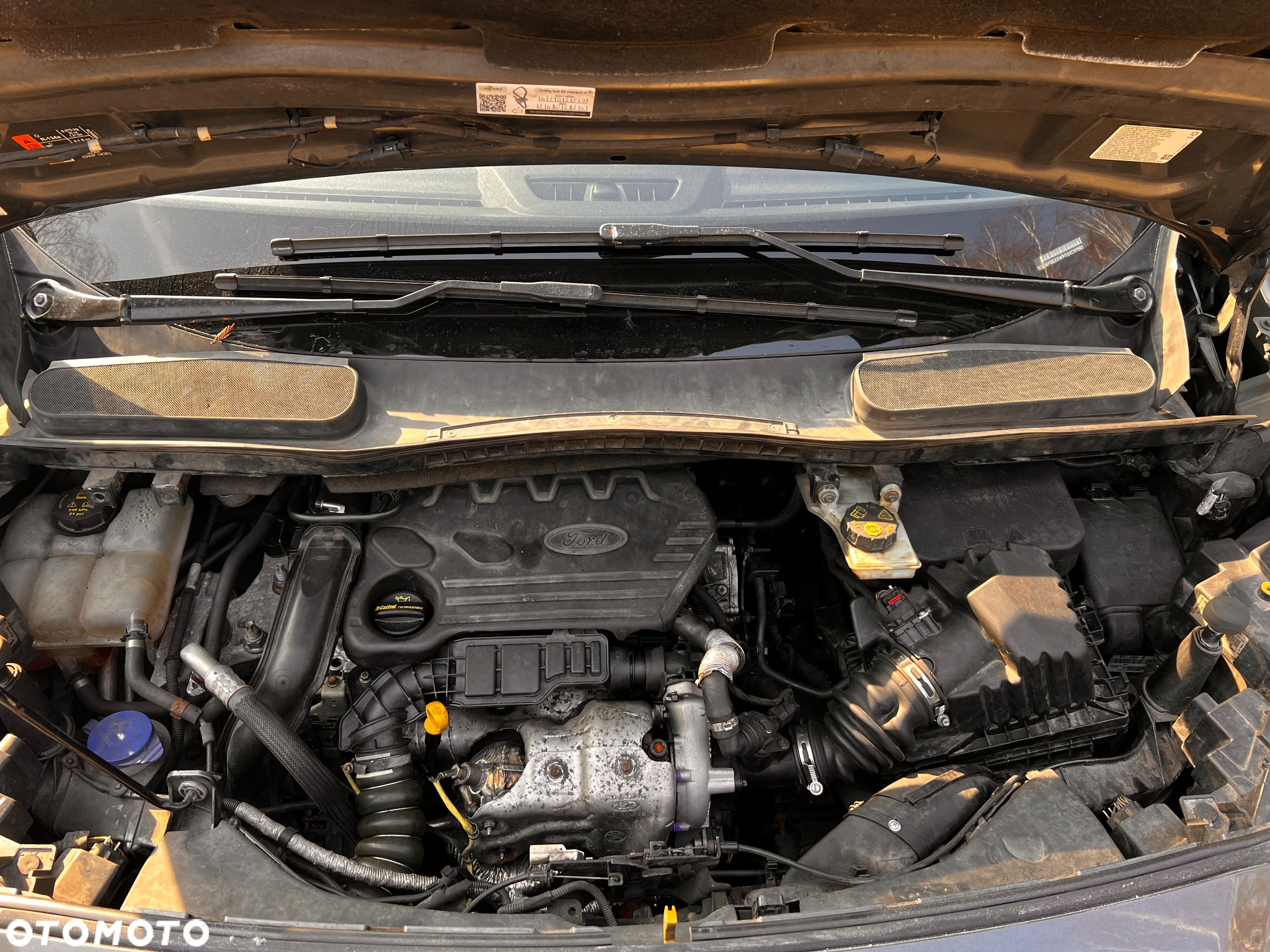 Ford Transit Connect - 11