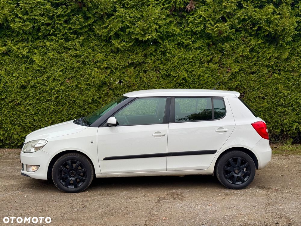Skoda Fabia 2010 photo 2