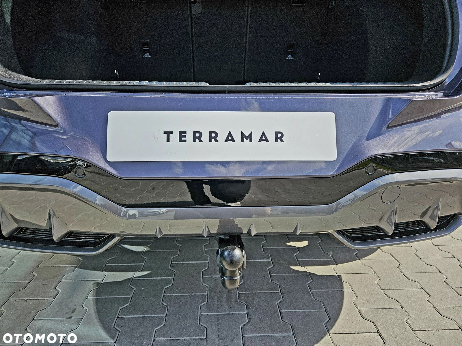 Cupra Terramar - 13
