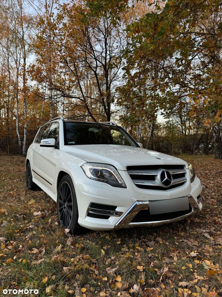 Mercedes-Benz GLK 220 CDI BlueTEC 4-Matic - 1