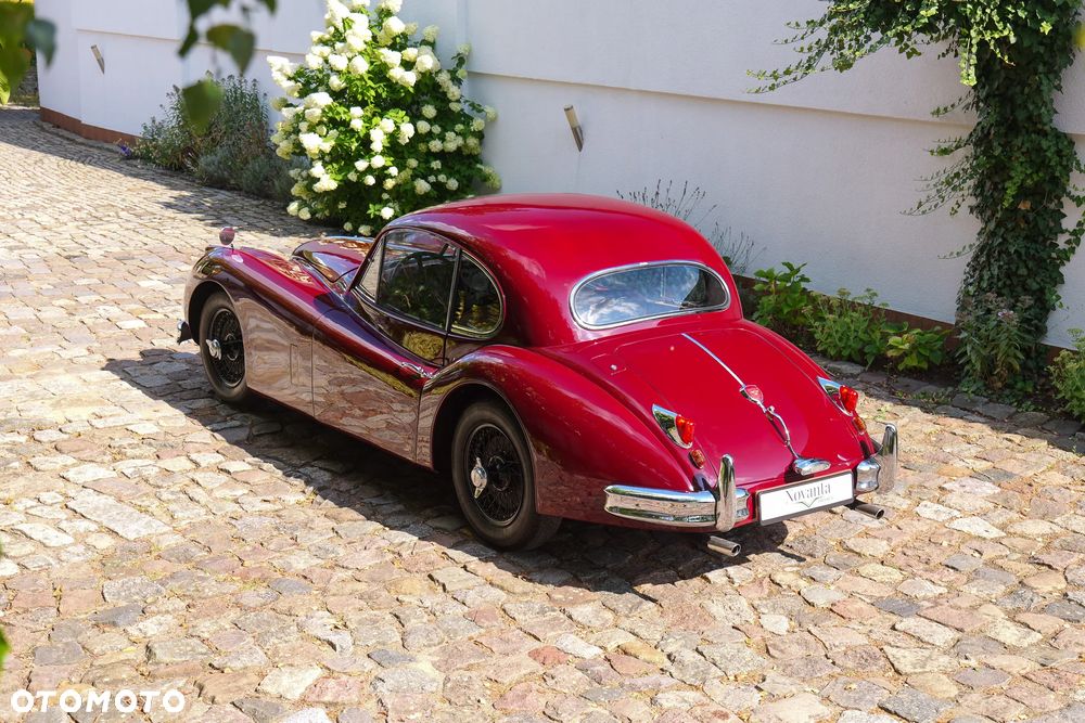 Jaguar XK - 10