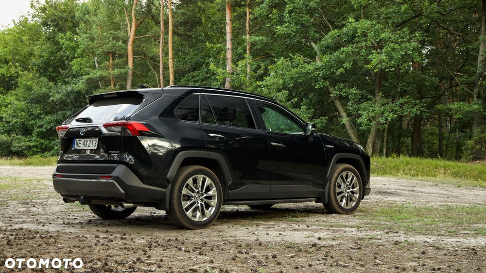 Toyota RAV4 2.5 Hybrid Executive 4x4 - 10