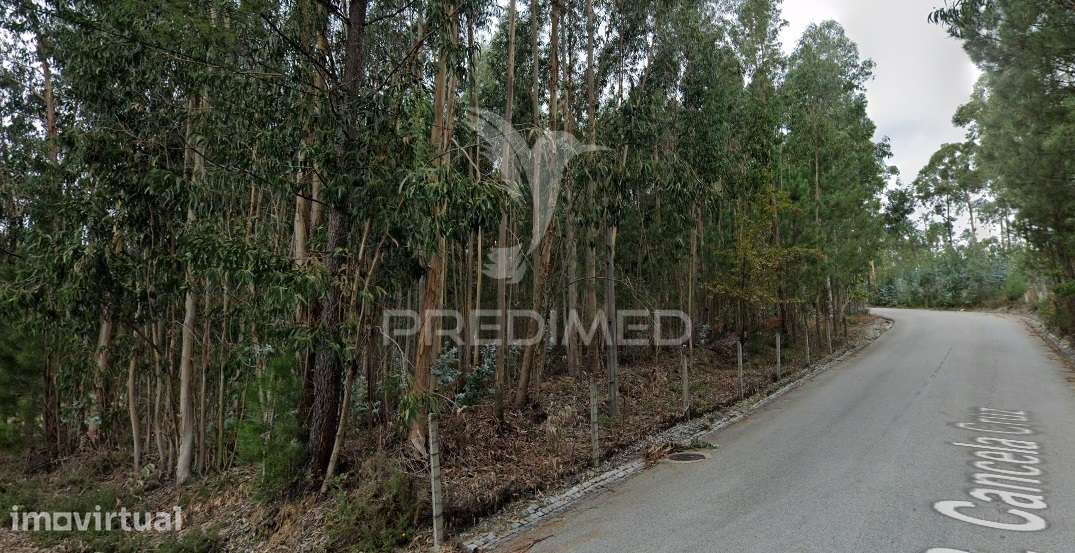 Terreno para Construção Sandim  – Potencial para Polo Industrial - Grande imagem: 3/9