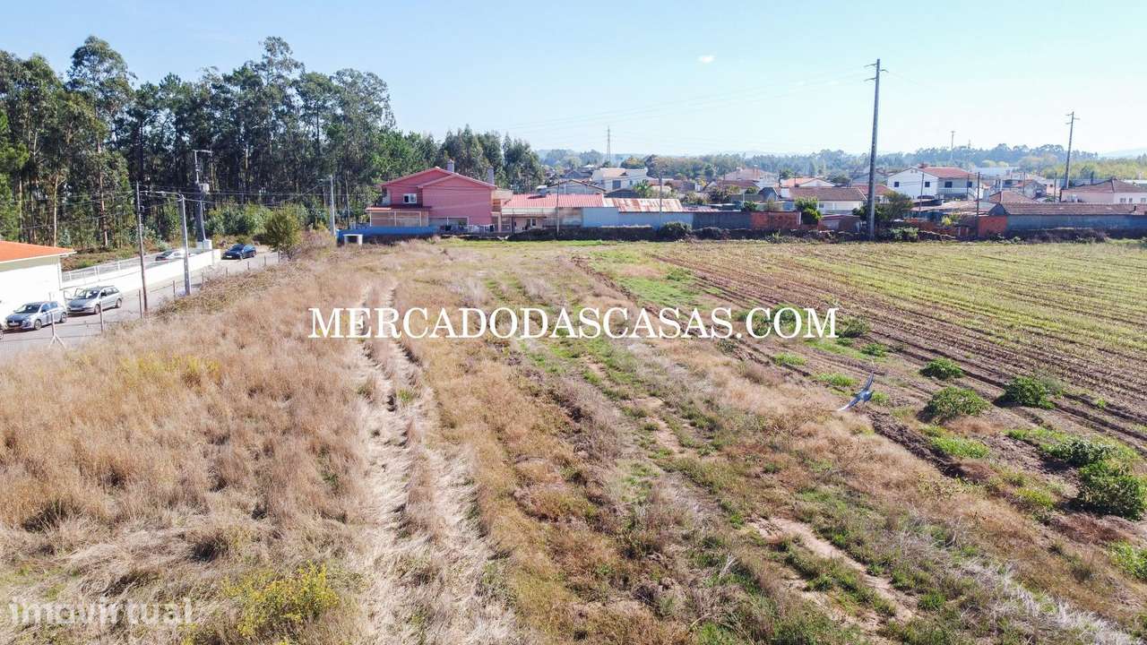 Terreno c/ 16,560m2 - São Miguel de Souto - Grande imagem: 2/14