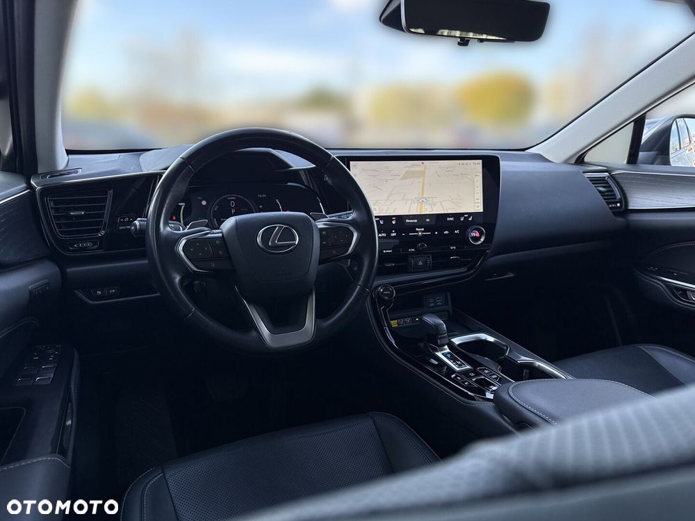 Lexus NX - 19