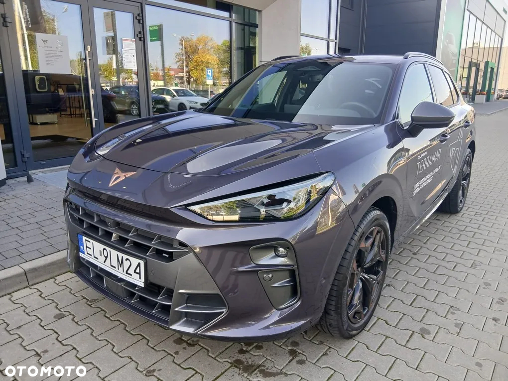 Cupra Terramar - 2
