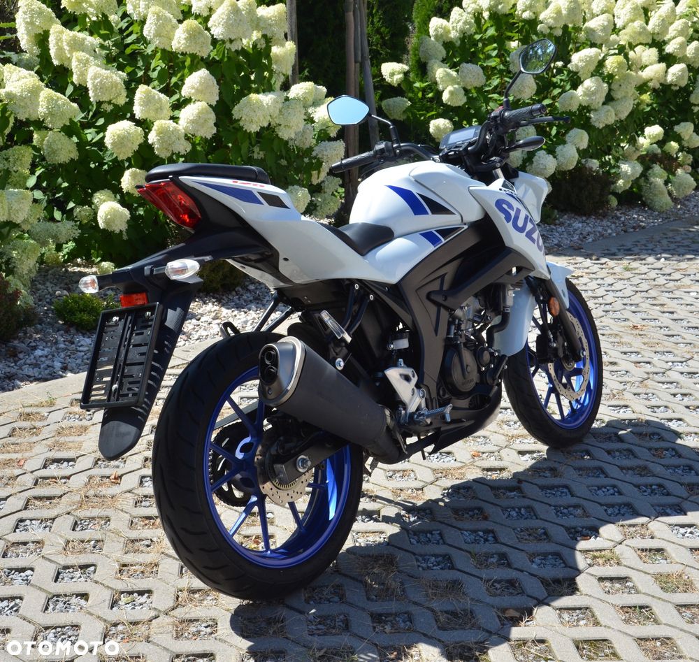 Suzuki GSX - 6