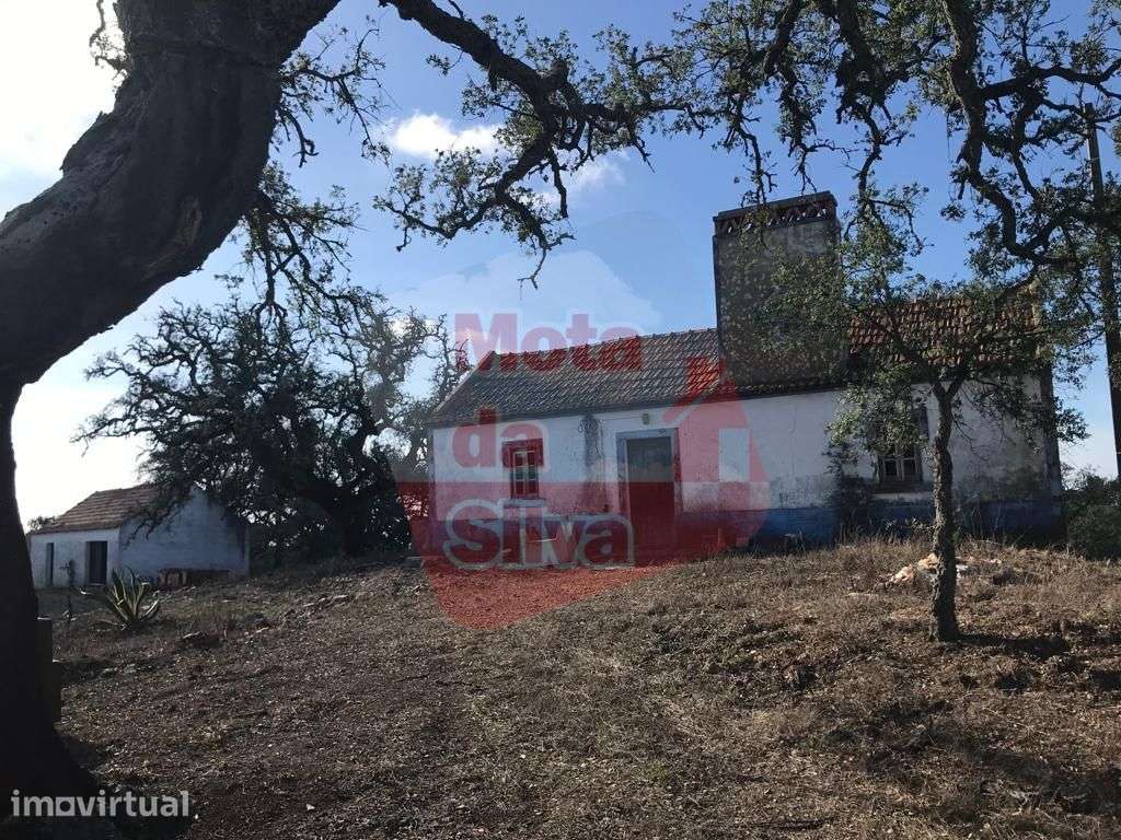 Quinta com habitação em São Francisco da Serra - Grande imagem: 2/12