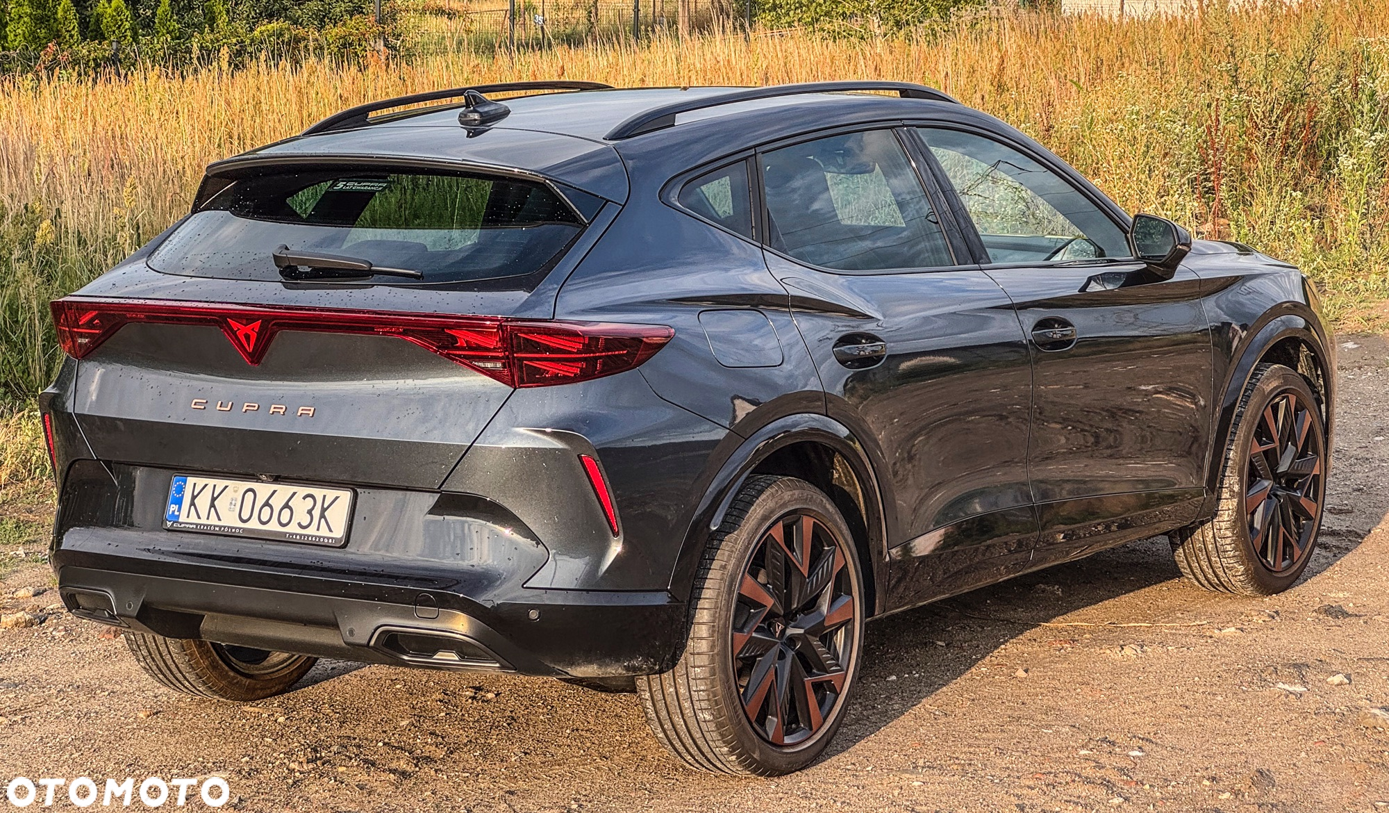 Cupra Formentor 1.5 TSI DSG - 2