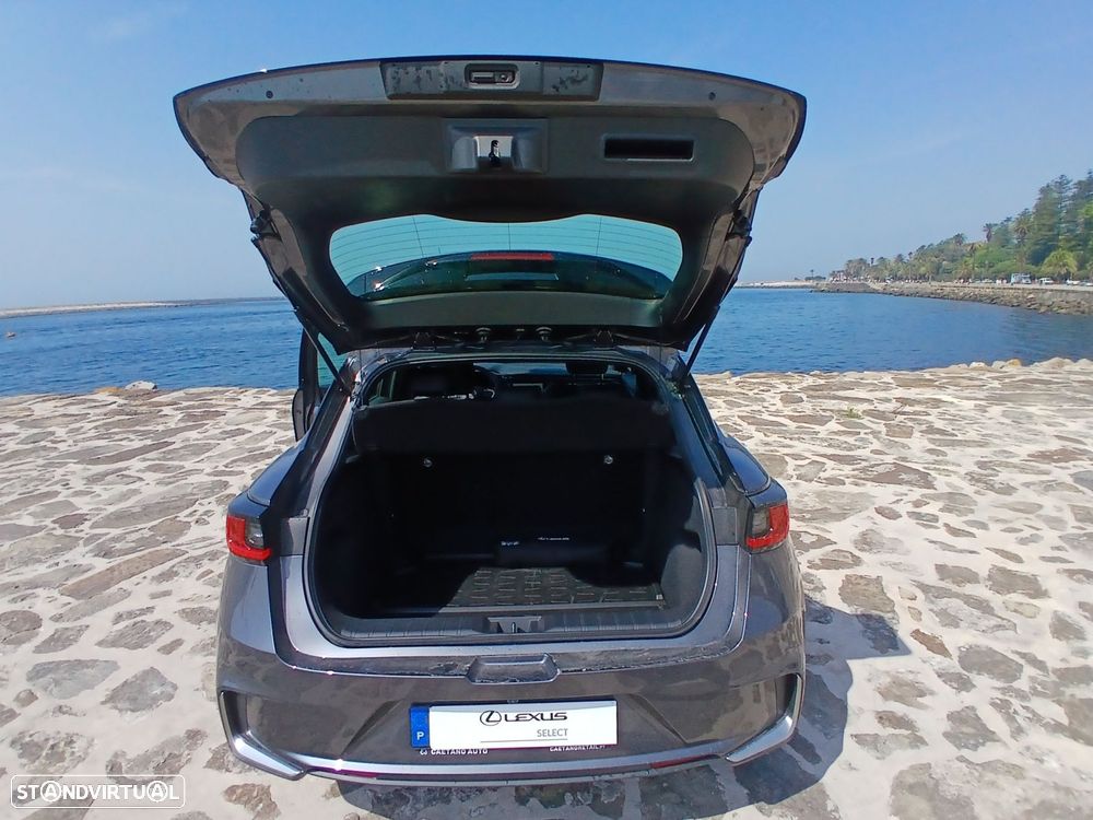 Lexus LBX Elegant - 19