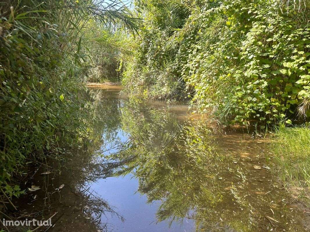 Terreno  para venda - Grande imagem: 4/25