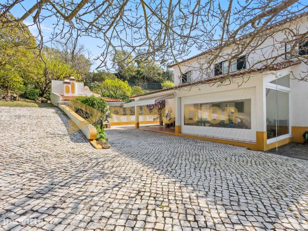 Moradia T3 e escritório com logradouro em Mossorovia