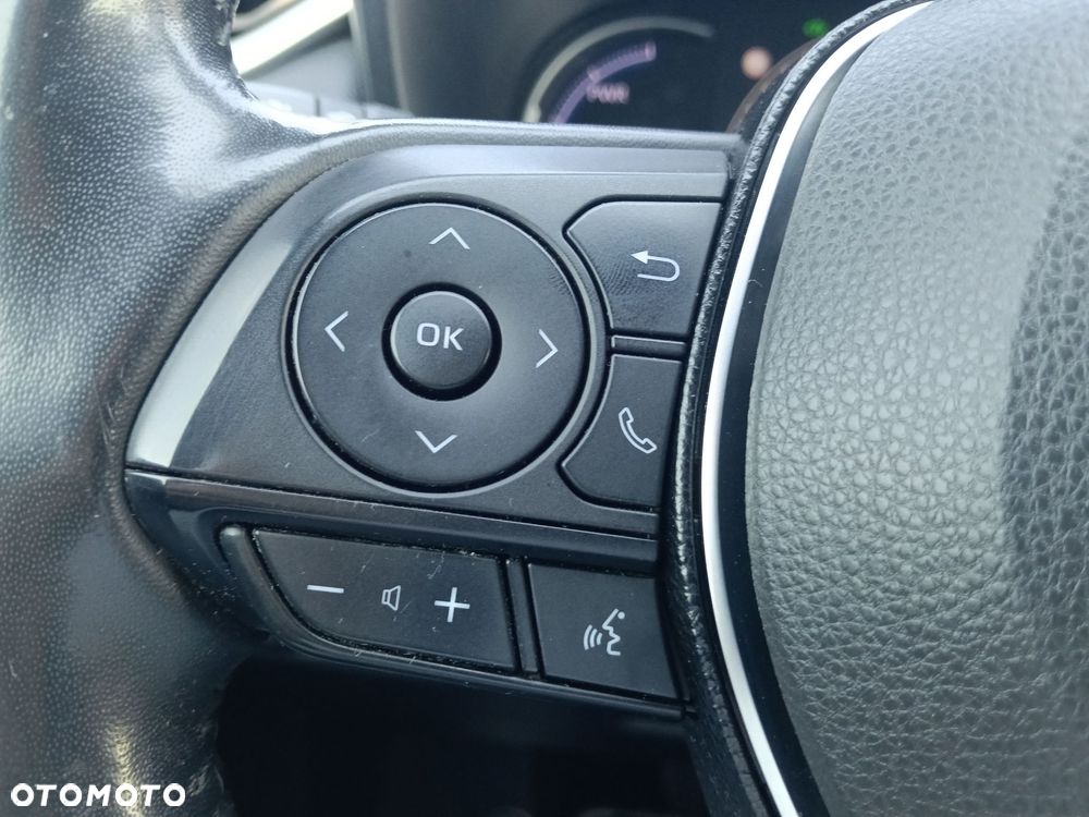 Toyota RAV4 2.5 Hybrid Selection 4x2 - 19