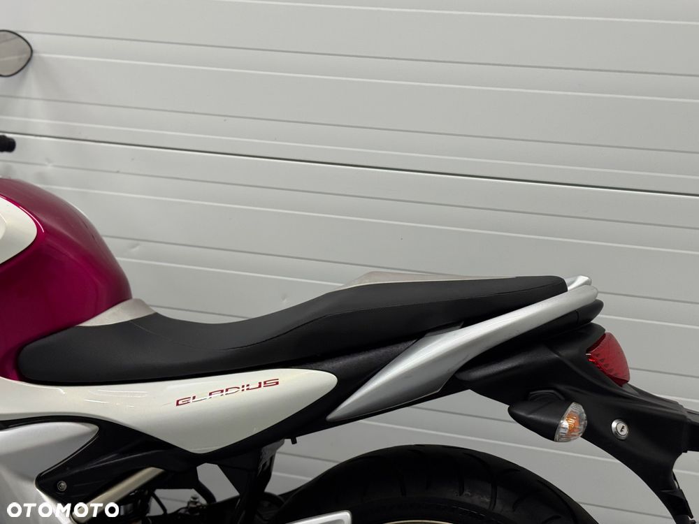 Suzuki Gladius - 14