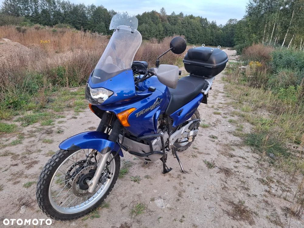 Honda Transalp - 13