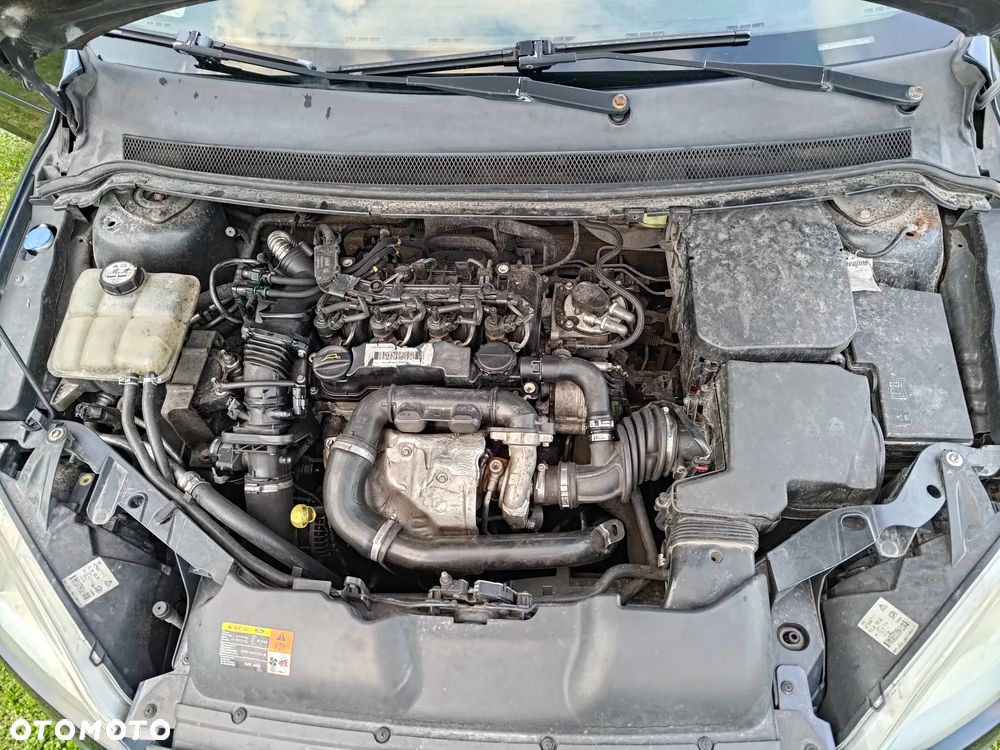 Ford Focus 1.6 TDCi Trend - 30