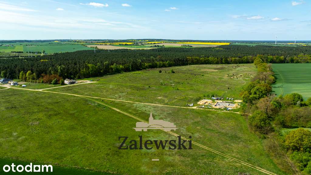 Działki na sprzedaż – Baczyna, przy lesie - Pełny obrazek: 3/9