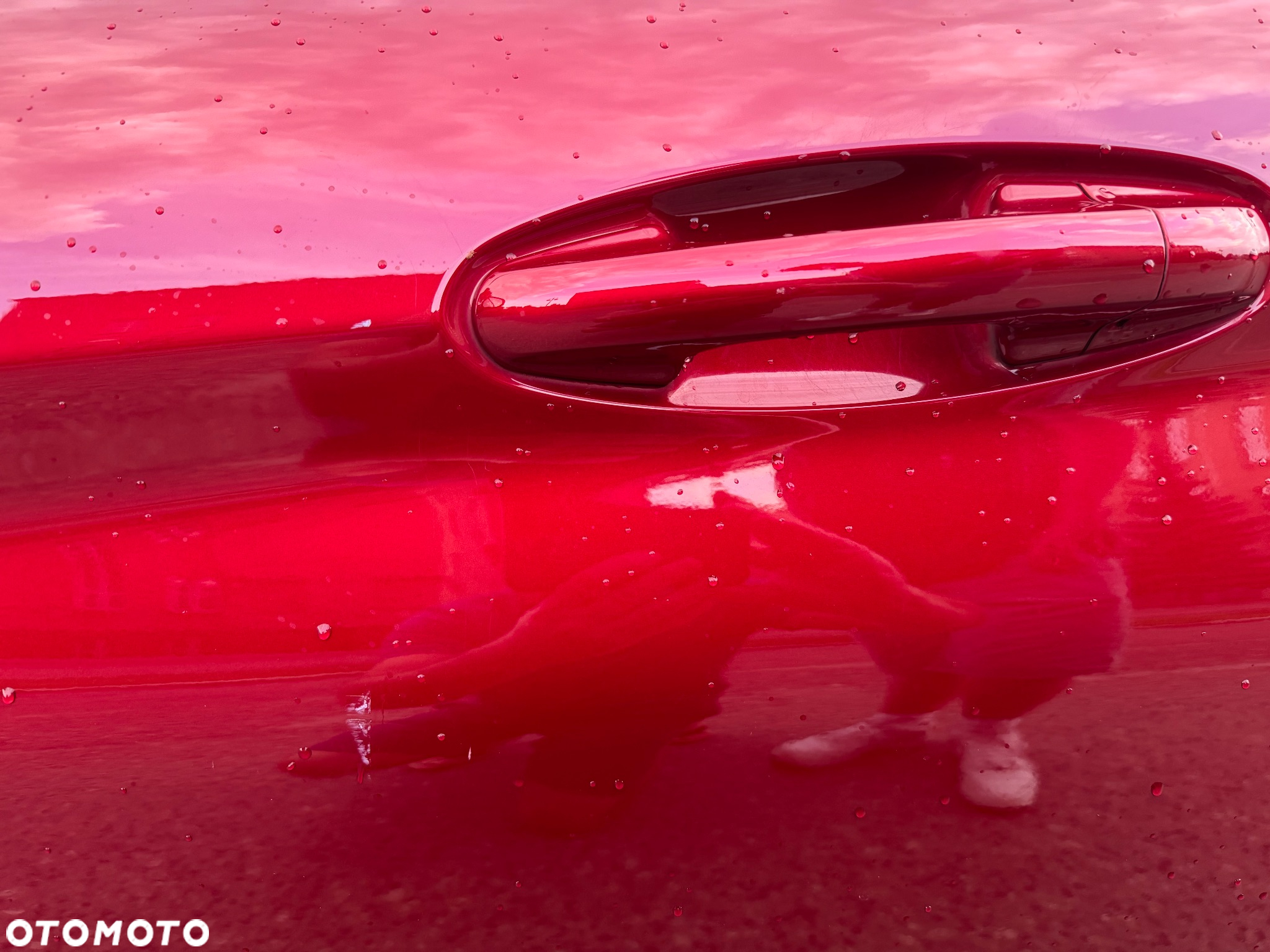 Ford Fiesta 1.0 EcoBoost Titanium ASS - 8