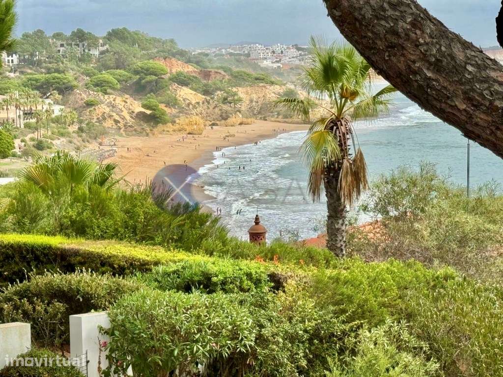 Excelente Moradia térrea com lote de m2 , com piscina e acesso dire... - Grande imagem: 5/36