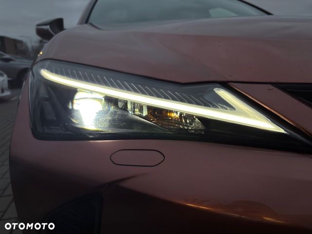 Lexus UX 300h F Sport Design AWD - 29